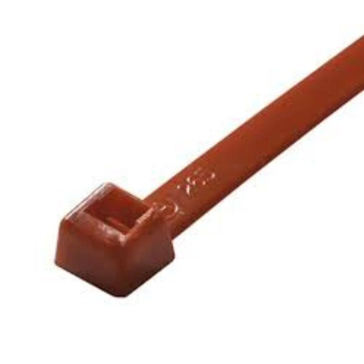 Red Plenum 7